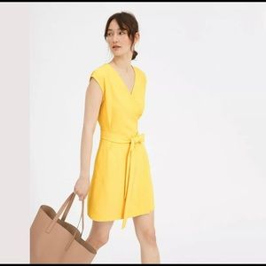 Everlane Japanese GOWEAVE Mini Wrap Dress